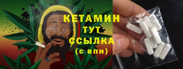 индика Коряжма