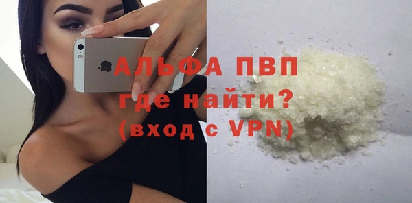 индика Коряжма