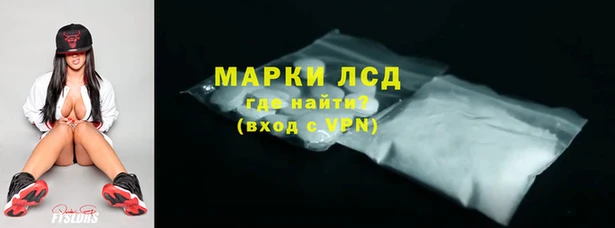индика Коряжма