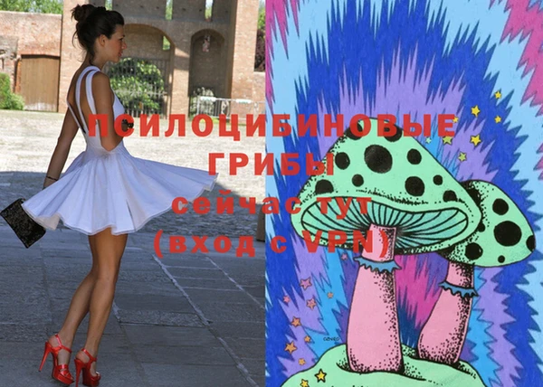 индика Коряжма