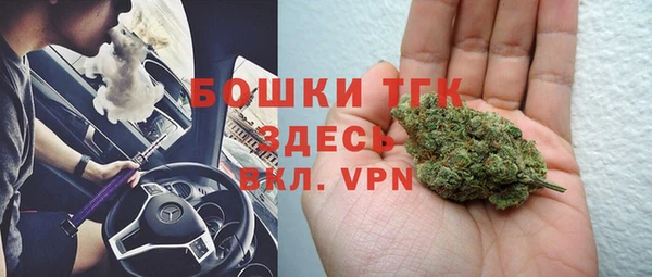 прущие грибы Кодинск