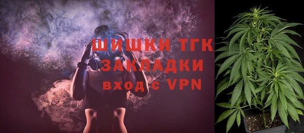 индика Коряжма
