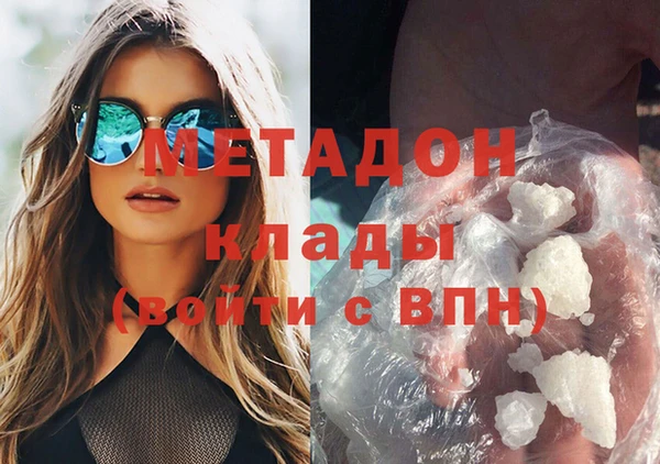 прущие грибы Кодинск