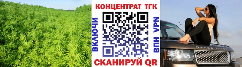 ТГК гашишное масло  Купить закладки  Светогорск 